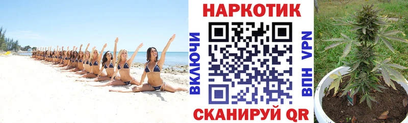 Продажа наркотиков Гдов Бошки Шишки  Меф мяу мяу  Амфетамин  Галлюциногенные грибы  Гашиш 