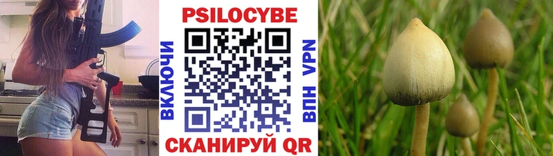 Галлюциногенные грибы MAGIC MUSHROOMS  магазин  наркотиков  hydra маркетплейс  Гдов 