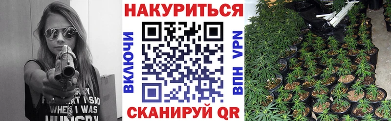 Бошки марихуана индика  Гдов 